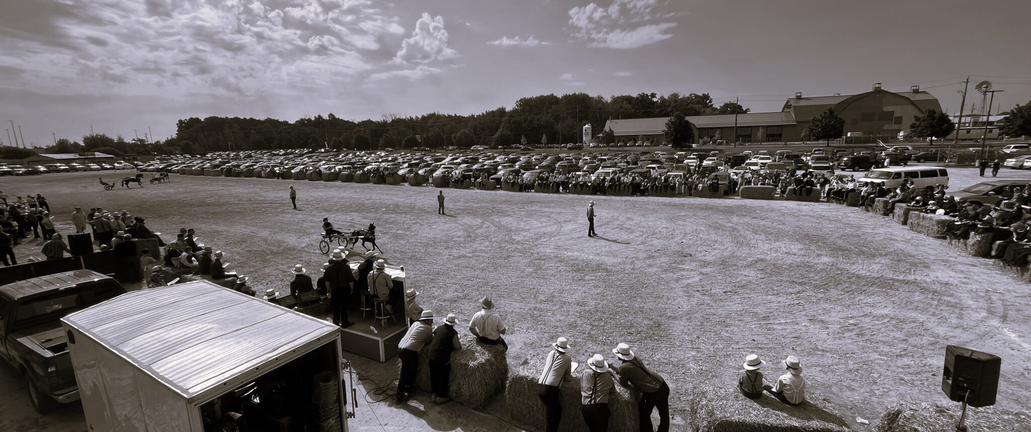 Sale Races Live Horse Sale – Ontario Livestock Exchange Inc